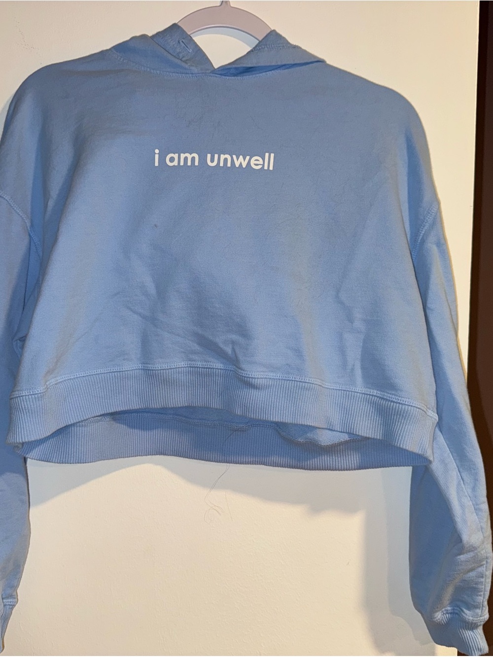 Light Blue Cropped Hoodie Sweatshirt with "i am unwell" Print Call Her Daddy